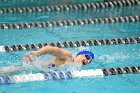 Swimming & Diving vs Babson  Swimming & Diving vs Babson College. - Photo by Keith Nordstrom : Wheaton, Swimming